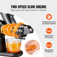 Load image into Gallery viewer, VEVOR Slow Masticating Juicer, 2-Speed Mode Cold Press Juicer Machine with Reverse Function, Quiet Motor Slow Juicer, Juice Extractor Maker Easy to Clean with Brush, for High Nutrient Fruit Vegetable
